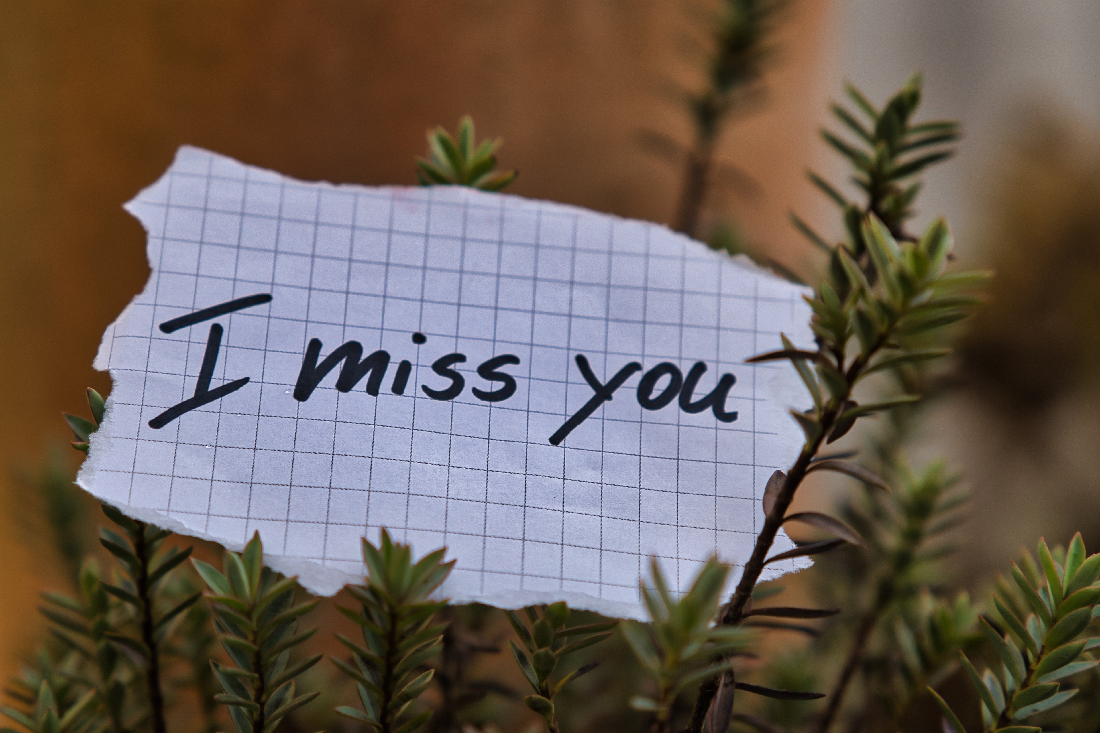 The Grief Anomaly: How Loss Lives in Modern Life